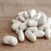 White Kidney Bean